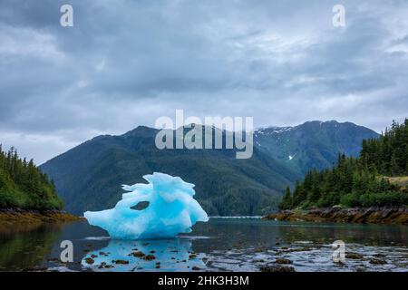 USA, Alaska, Petersburg, großer Eisberg vom LeConte Glacier, der bei Ebbe in der LeConte Bay am Sommerabend gegründet wurde Stockfoto