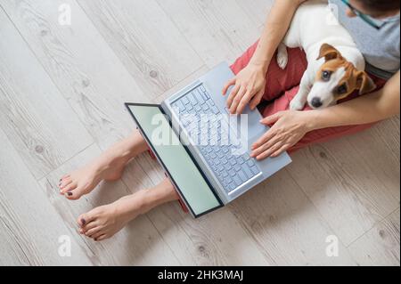 Gesichtslose Frau, die von zu Hause aus arbeitet. Unkenntlich Mädchen sitzt auf dem Boden mit einem Welpen von Jack Russell Terrier in seinen Armen in seiner Wohnung und Stockfoto