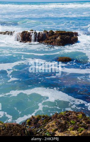 Fitzgerald Marine Reserve, Kalifornien, USA Stockfoto