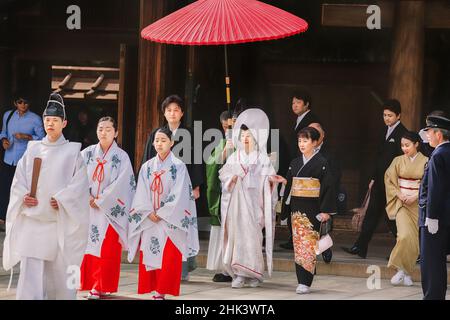 Traditionelle japanische Hochzeitszeremonie im Meiji Jingu-Schrein, Tokio, Japan. Stockfoto