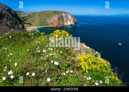 Wandern auf der Scorpion Ranch, Santa Cruz Island, Channel Islands National Park, Kalifornien, USA Stockfoto