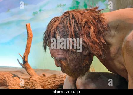 Ein großes Diorama mit Menschen aus der Steinzeit. Mann, der arbeitet. Im Staatlichen Museum für Geschichte in Taschkent, Usbekistan. Stockfoto