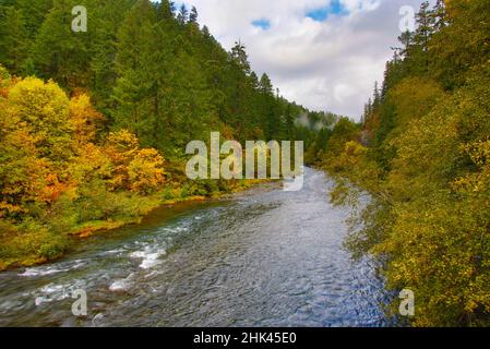 USA, Oregon, North Umpqua River. Fluss- und Waldlandschaft. Kredit als: Jean Carter / Jaynes Gallery / DanitaDelimont.com Stockfoto