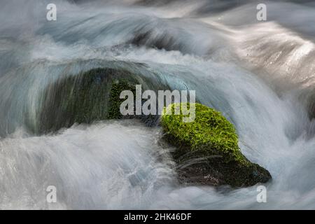 Wasserfällen über moosigen Felsen in Olallie Creek in der Nähe von McKenzie River, Willamette National Forest, Cascade Mountains, Oregon. Stockfoto