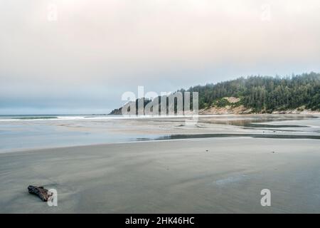 USA, Oregon. Oswald West State Park, Short Sand Beach. Stockfoto