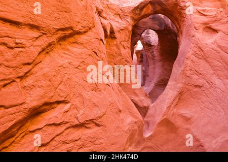 Sandsteinformationen in Peek-a-boo Gulch, Grand Staircase-Escalante National Monument, Utah, USA Stockfoto