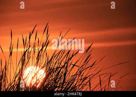 Walla Walla County, WA, USA. Sonnenuntergang an der Whitman Mission National Historic Site. Stockfoto