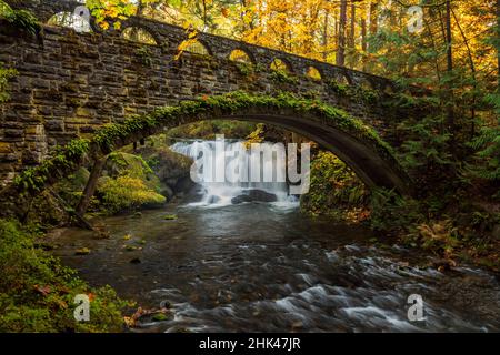 USA, Staat Washington, Whatcom Falls Park. Herbstlaub an der Whatcom Falls Bridge. Kredit als: Dennis Kirkland / Jaynes Gallery / DanitaDelimont.com Stockfoto