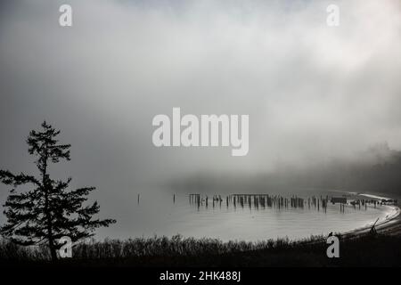 Ship Harbor, Anacortes, Washington State, Lachs Cannery Pilings, Strand, Nebel Stockfoto