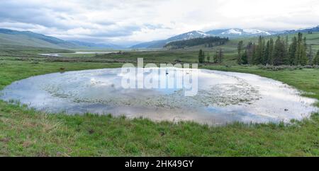 Yellowstone National Park, Lamar Valley. Ein Blick auf das Lamar-Tal im Frühling. Stockfoto