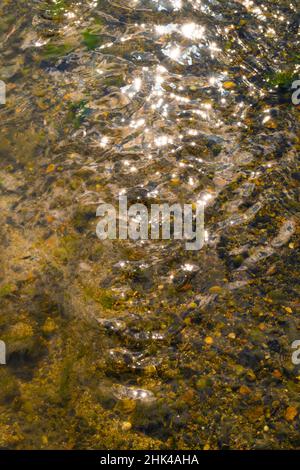 Meeresboden bei Ebbe, klares Wasser, das über Herzmuscheln, Muscheln und Steine mit Funkeln läuft Stockfoto