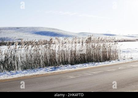 Winterlandschaft mit Feld im Schnee. Stockfoto