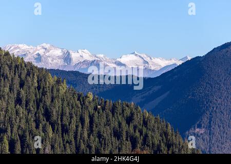 Die mit Wäldern bedeckten Hügel und die schneebedeckten Berggipfel der italienischen Dolomiten Stockfoto
