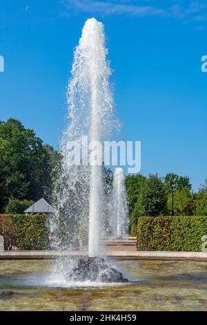 Peterhof, der erste und zweite Menajerniy-Brunnen im Bacchus-Garten Stockfoto