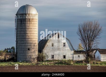 Farm mit einer weißen Scheune und Silo über ein Feld im Frühling bei Sonnenuntergang. Stockfoto