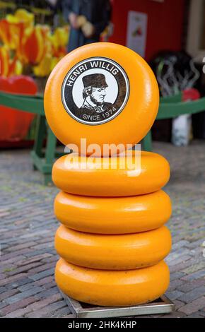 Amsterdam, Niederlande - 7th. Juli 2014: Ein Stapel Gouda-Käse außerhalb des Henri willig-Ladens in Amsterdam. Ein niederländischer Käser seit 1974. Stockfoto