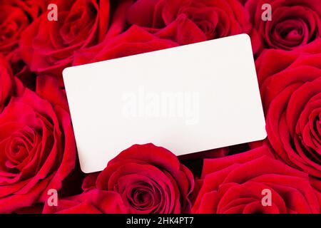 Blumenstrauß mit roten Rosen und leerer Geschenkkarte, Hintergrund Valentinstag. Schöne rote Rosen mit weißer Karte, bereit für Ihre Nachricht. Valentinstag, Bir Stockfoto