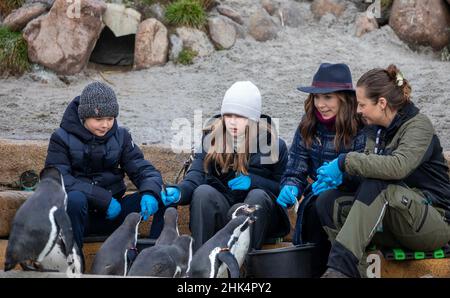 Kopenhagen, Dänemark. 02nd. Februar 2022. Kronprinzessin Mary, Prinz Vincent und Prinzessin Josephine von Dänemark im Zoo von Kopenhagen am 02. Februar 2022, für einen Besuch und die Kronprinzessin pflanzt als Teil des ersten Sods von Marys Australske einen Eukalyptusbaum (Mary's Australian Garden) - ein Park, der australischen Tieren gewidmet ist, anlässlich des Geburtstages der Kronprinzessin 50th am 05-02-2022 Foto: Albert Nieboer/Netherlands OUT/Point de Vue OUT Quelle: dpa picture Alliance/Alamy Live News Stockfoto