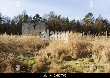 Thetford Warren in den Brecklands, Norfolk, war eine isolierte halbbefestigte Lodge, in der Wildhüter lebten und Kaninchen vor Wilderern schützten. Stockfoto