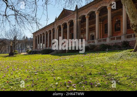 Crocus blüht vor dem Pumpenraum in Baden-Baden, Schwarzwald, Baden-Württemberg, Deutschland, Europa Stockfoto