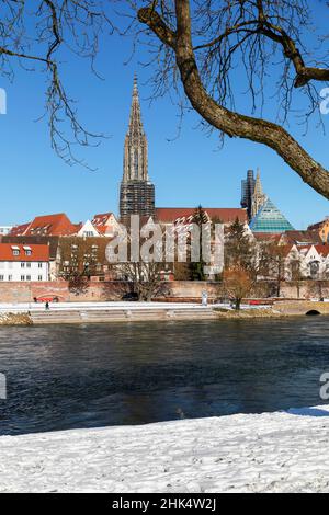 Blick über die Donau zum Ulmer Dom, Ulm, Schwäbische Alpen, Baden-Württemberg, Deutschland, Europa Stockfoto