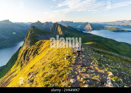 Rückansicht des Mannes, der bei Sonnenaufgang auf dem Weg zum Husfjellet-Gipfel läuft, Senja Island, Troms County, Norwegen, Skandinavien, Europa Stockfoto