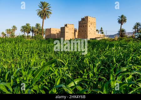 Traditionelle Gebäude Schlammtürme als Wohnhäuser verwendet, Najran, Königreich Saudi-Arabien, Naher Osten Stockfoto