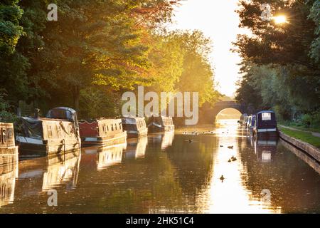 Narrowboats, die bei Sonnenuntergang auf dem Kennet- und Avon-Kanal festgemacht wurden, Kintbury, Bekshire, England, Vereinigtes Königreich, Europa Stockfoto