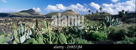 Blick über die vulkanische Landschaft des Parque Natural de Los Volcanes, La Geria, Lanzarote, Kanarische Inseln, Spanien, Atlantik, Europa Stockfoto