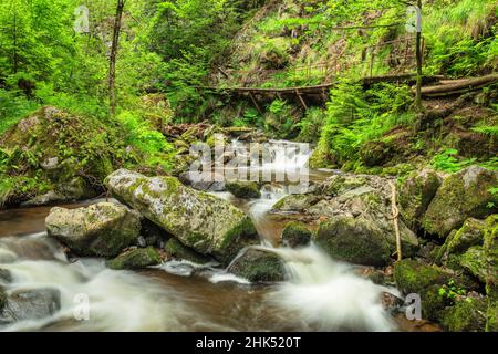 Ravenna-Schlucht entlang des Flusses Ravenna, Breitnaus, Hollental, Schwarzwald, Baden-Württemberg, Deutschland, Europa Stockfoto