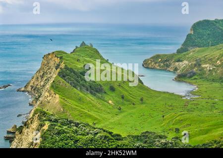 Luftaufnahme der geschützten Cooks Cove (Opoutama), Tolaga Bay, Ostküste, Nordinsel, Neuseeland. Captain Cook ankerte hier 1769. Stockfoto