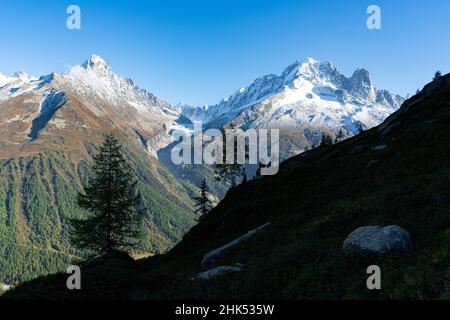 Majestätische Gipfel Aiguille du Chardonnet, Aiguille Verte und Argentiere Gletscher, Mont Blanc Massif, Chamonix, Haute Savoie, Französische Alpen, Frankreich, Europa Stockfoto