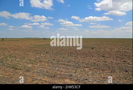 Northern Texas Panorama - Cadillac Ranch, Texas Stockfoto