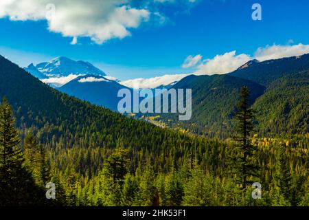 Blick auf Mount Rainier, einen Stratovulkan in der Cascade Range des pazifischen Nordwestens, gelegen im Mount Rainier National Park Stockfoto