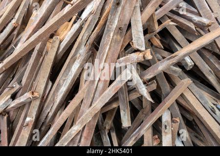 Haufen alter Holzstöcke. Stockfoto