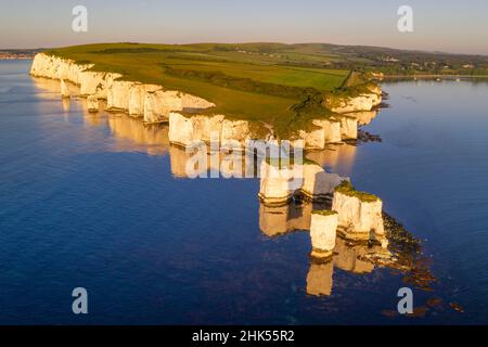 Luftaufnahme der Old Harry Rocks an der Jurassic Coast, UNESCO Weltkulturerbe, Studland, Dorset, England, Vereinigtes Königreich, Europa Stockfoto