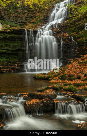 Scaleber Force Wasserfall im Herbst, Yorkshire Dales Nationalpark, North Yorkshire, England, Vereinigtes Königreich, Europa Stockfoto