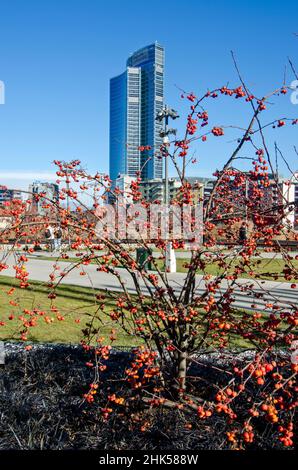 Biblioteca degli alberi, der neue Mailänder Park mit Blick auf den Palazzo della Regione Lombardia, Wolkenkratzer. 02. Februar 2022. Italien Stockfoto