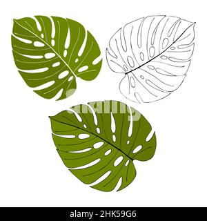 Monstera handgezeichnete Umrisszeichnung Doodle, Satz von Blättern mit und ohne Umrisse, Umrisslinie Silhouette. Isolierter, weißer Hintergrund. Vektorgrafik Stock Vektor