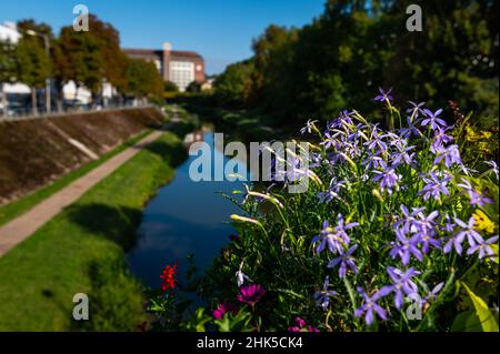 Schöne Blumen auf einer Brücke in Nancy (Frankreich), sonniger Tag im Sommer, blauer Himmel Stockfoto