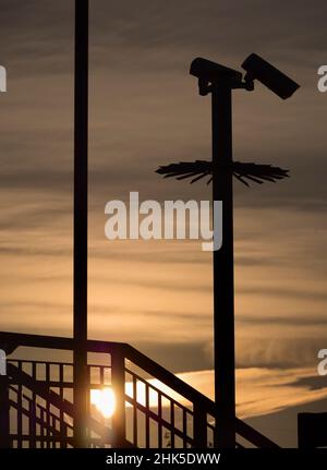 Selbst das alltägliche kann durch Schönheit zur richtigen Zeit und am richtigen Ort verwandelt werden. Hier sehen wir die Brücke über die Gleise und Stufen der Radley Village Railway Stockfoto