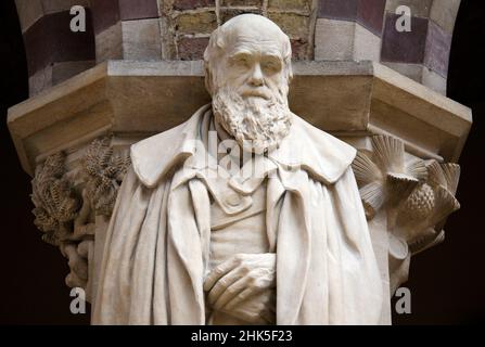 Das Pitt-Museum ist ein Museum, das die archäologischen und anthropologischen Sammlungen der Universität Oxford zeigt. Hier sehen wir eine Statue von Stockfoto