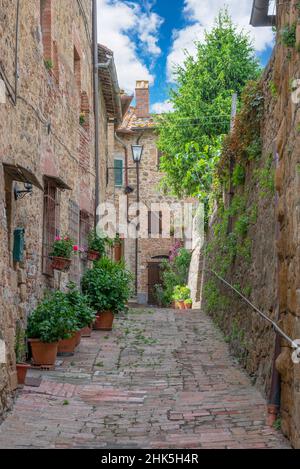 Monticchiello (Italien) - das wunderbare mittelalterliche und künstlerische Dorf der Toskana, in der Gemeinde Pienza, Val d'Orcia UNESCO-Stätte, im Frühjahr Stockfoto