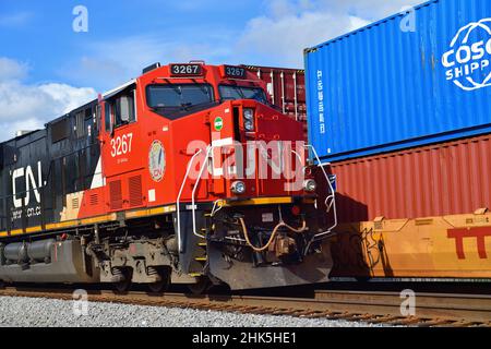 Hoffman Estates, Illinois, USA. Ein Güterzug der Canadian National Railway, links, mit einem Abstellgleis, der von einem intermodalen Güterzug passiert wurde. Stockfoto