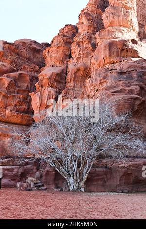 Wüste Landschaften Stockfoto