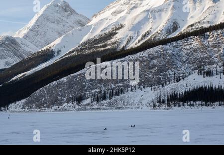 Eisfischen auf Spray Lakes, Spray Lakes Provincial Park, Kananaskis Country, Alberta, Kanada Stockfoto
