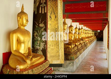 Atemberaubende Reihe von Buddha-Bildern in sitzender Haltung im Kloster Wat Pho oder Tempel des Reclining Buddha, Bangkok, Thailand Stockfoto