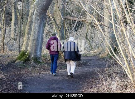 Ruhestand Großbritannien, ein Seniorenpaar von hinten gesehen, zu Fuß auf einem Pfad im Wald im Winter, Suffolk England Großbritannien Stockfoto