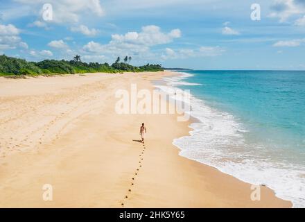 Junge Frau in leichten Sommerkleidung, die barfuß läuft und Fußabdrücke auf dem Sand am indischen Ozean hinterlässt Tangalle einsamer Kokosnussbaum Strand auf SR Stockfoto