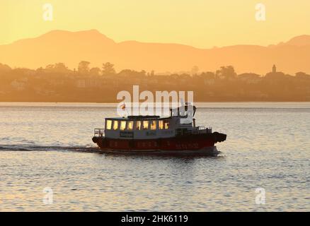 Ein Regina-Boot, das in der Bucht von Santander Cantabria Spanien im morgendlichen Wintersonnenlicht ankommt Stockfoto